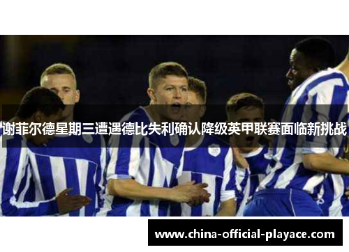 谢菲尔德星期三遭遇德比失利确认降级英甲联赛面临新挑战
