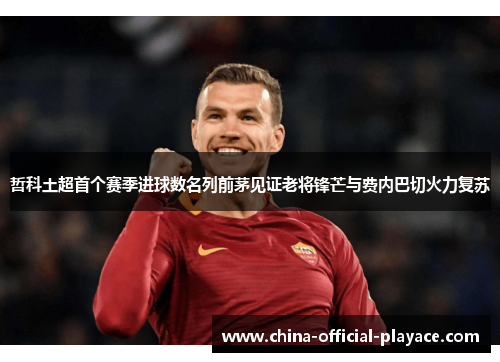 哲科土超首个赛季进球数名列前茅见证老将锋芒与费内巴切火力复苏